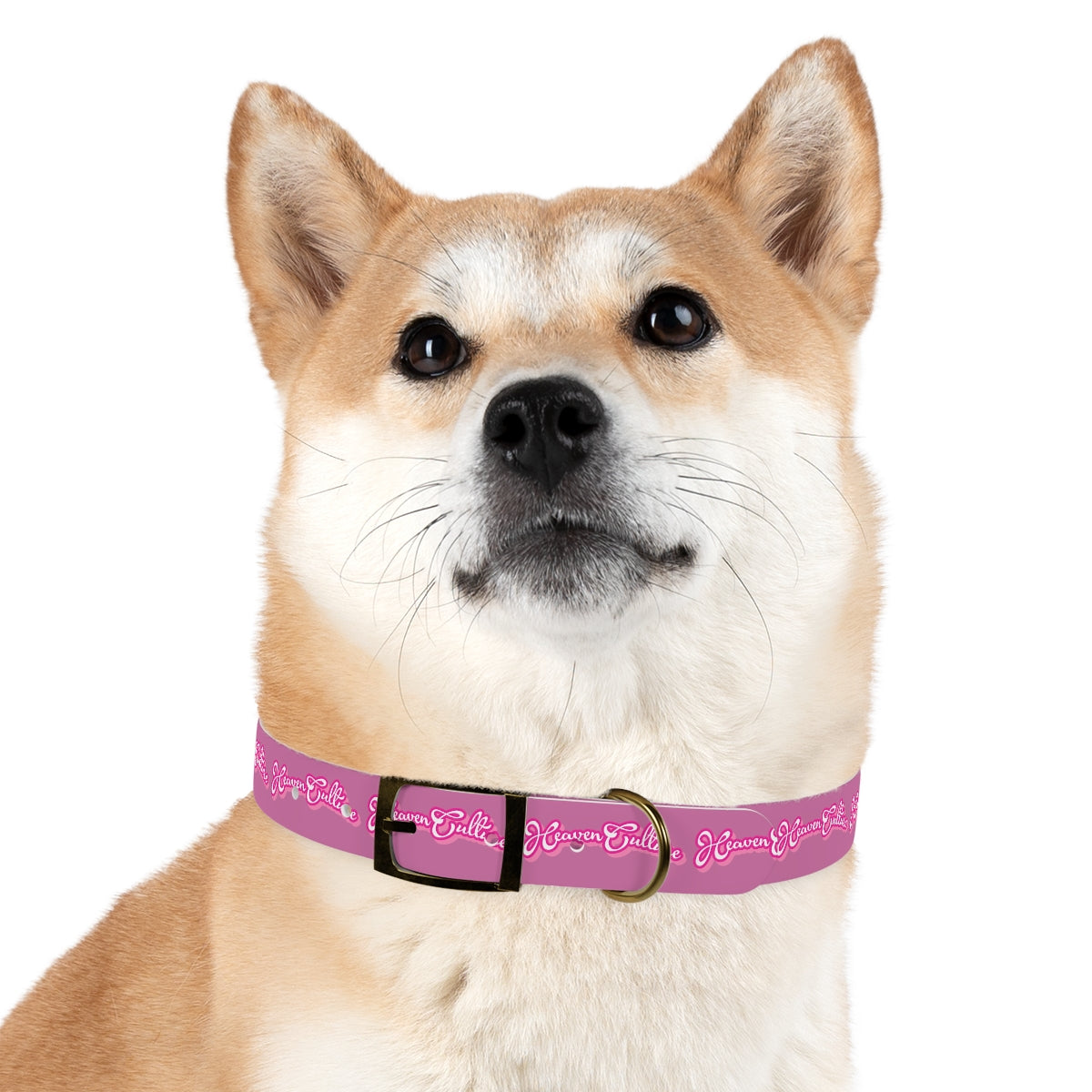 Heaven Culture Pet Collar