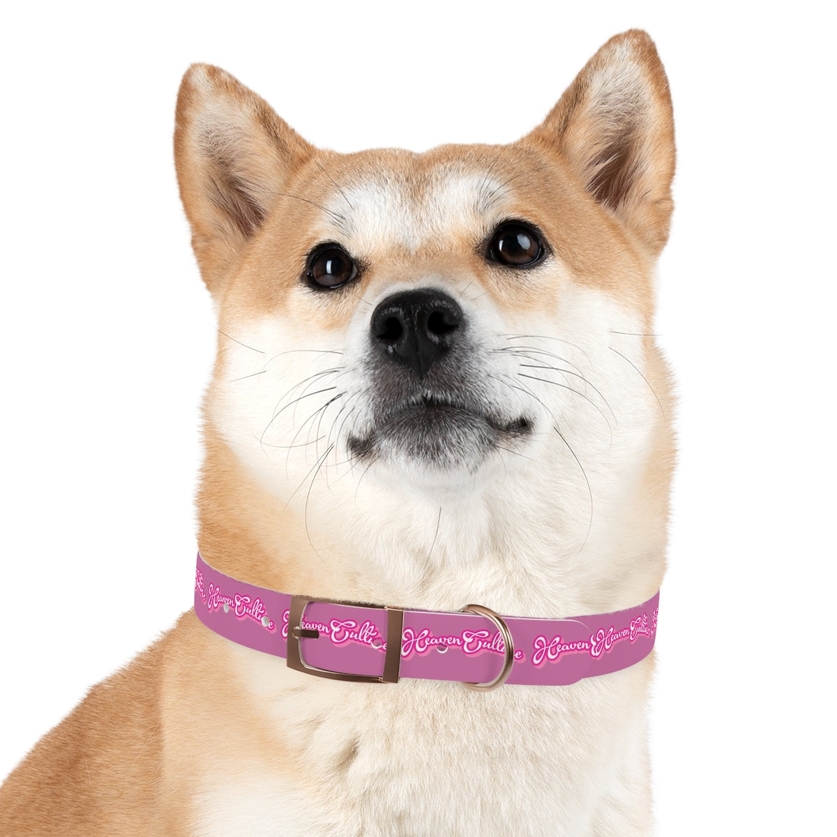 Heaven Culture Pet Collar